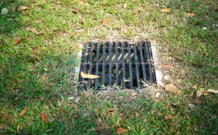 Why Is Yard Drainage in Sugar Land Essential for Lawn Care, Irrigation, Lighting, and Tree Health?