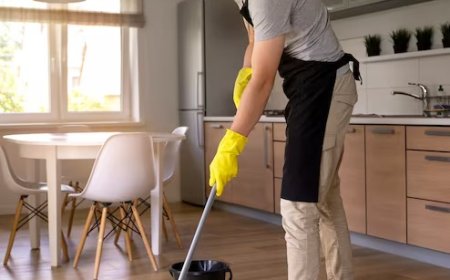 Seattle Cleaning Help That Actually Gets The Job Done