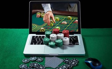 Why More Players Are Switching to Modern Digital Sports Platforms