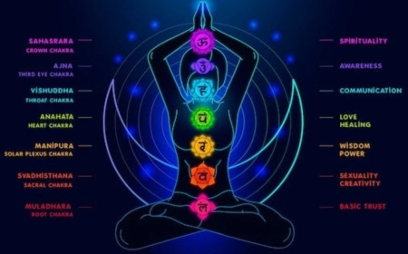 How Do the Root Chakra Affirmations Transform Your Mind, Body, and Spirit?