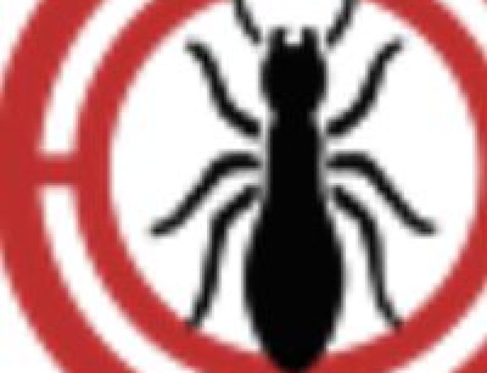 Pest Control for Snakes Near Me: Safe Effective Solutions for Your Property