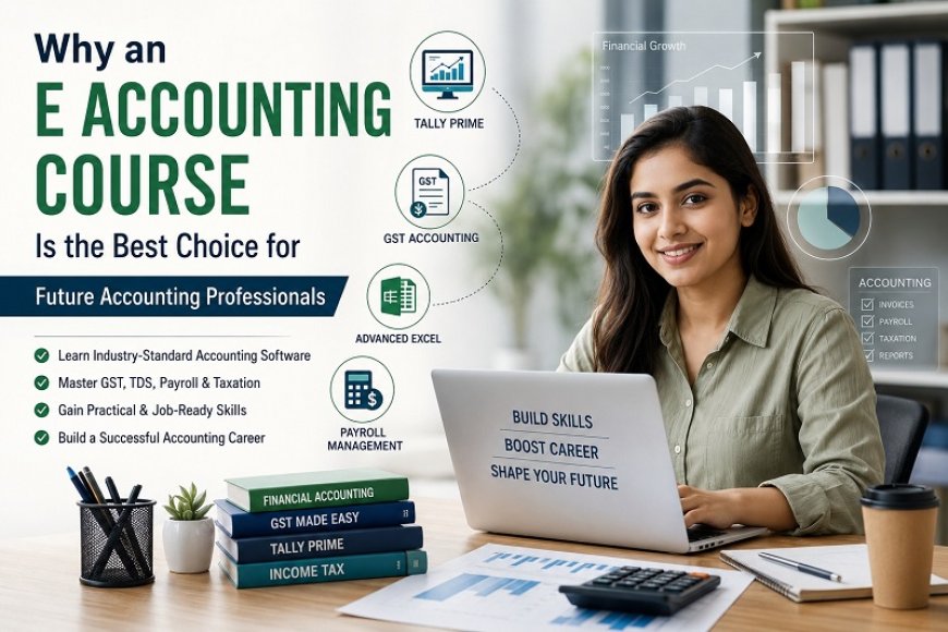 Why an E Accounting Course is the Best Choice for Future Accounting Professionals