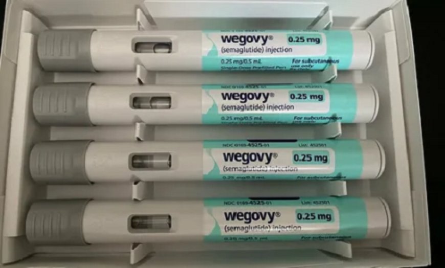 Expert Insights: Wegovy Injection in Dubai for Results