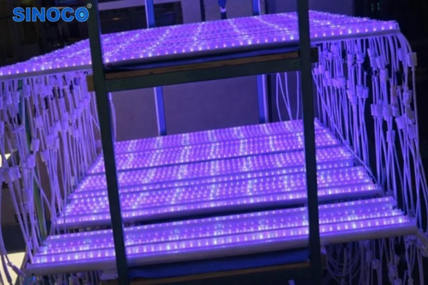 LED Grow Light China Solutions for Professional Indoor Cultivation