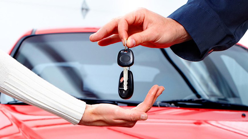 Car Rentals in Providenciales for Family Island Adventures