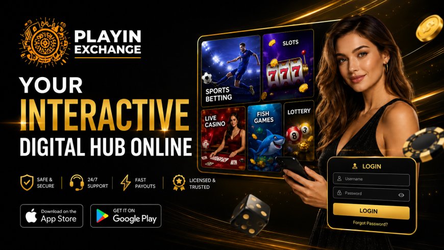 Playinexch Login Guide for Safe Account Access and Platform Navigation