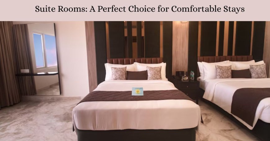 Suite Rooms: A Perfect Choice for Comfortable Stays