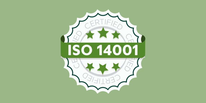 Why ISO 14001 Certification Is Essential for Sustainable Business Growth in the UAE?