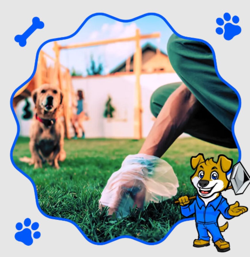 Affordable Pooper Scooper Services for a Cleaner Yard and Happier Pets Across the USA