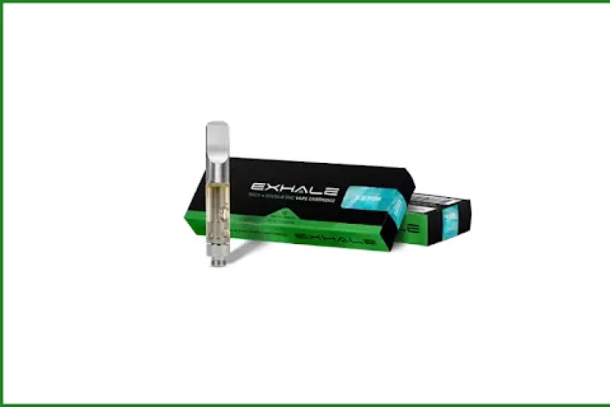 Clean Carts & Clean Carts Disposable: The Complete 2026 Guide to Features, Authenticity, Safety, and Buying Tips
