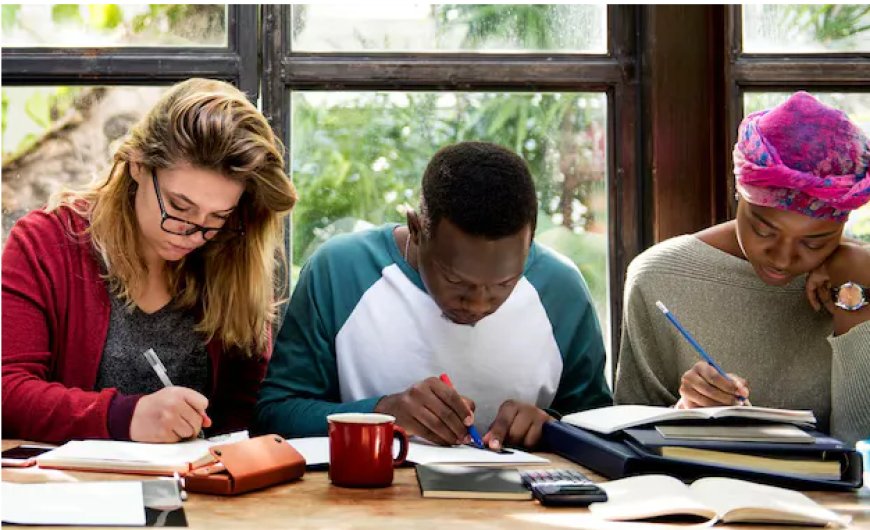 Dissertation Consultant: Expert Guidance for Academic Success in the UK
