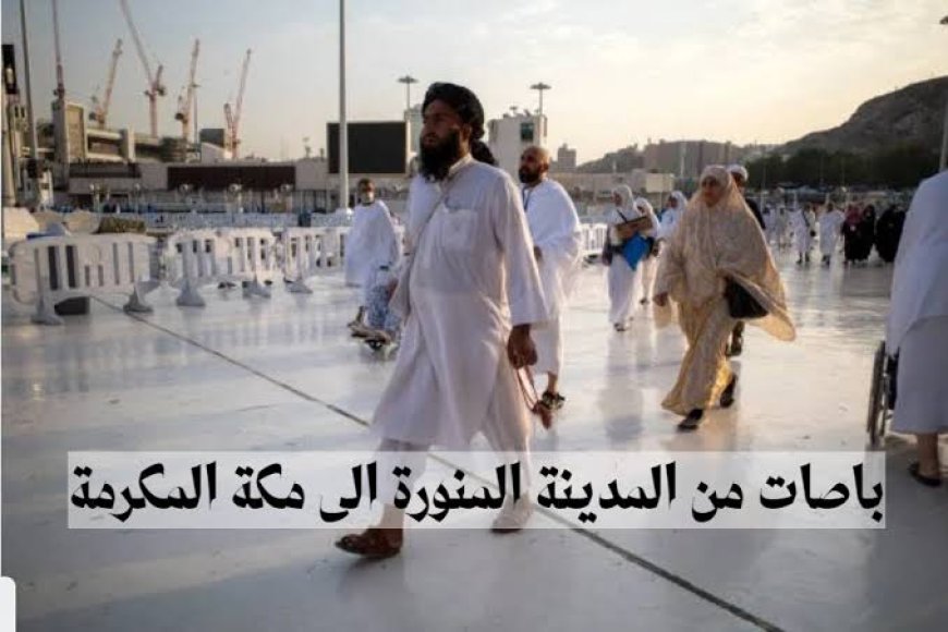كل ما تبحث عنه في رحلات الباص بين مكة والمدينة