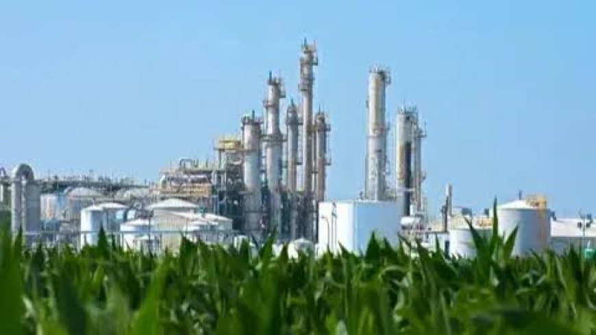 Biorefinery Market Analysis Reveals Emerging Opportunities in Circular Economy and Biomass Utilization