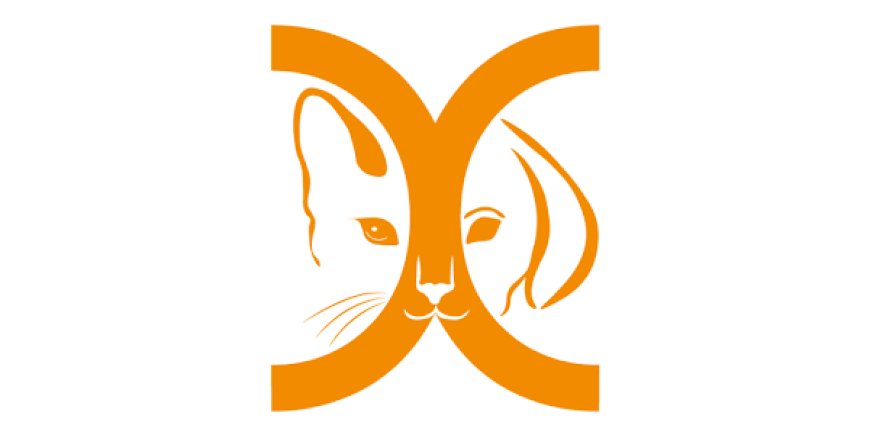 Mamaxireg Opiniones-{COMIENZA A OPERAR}-Las Mejores Características de Mamaxireg App Explicadas!