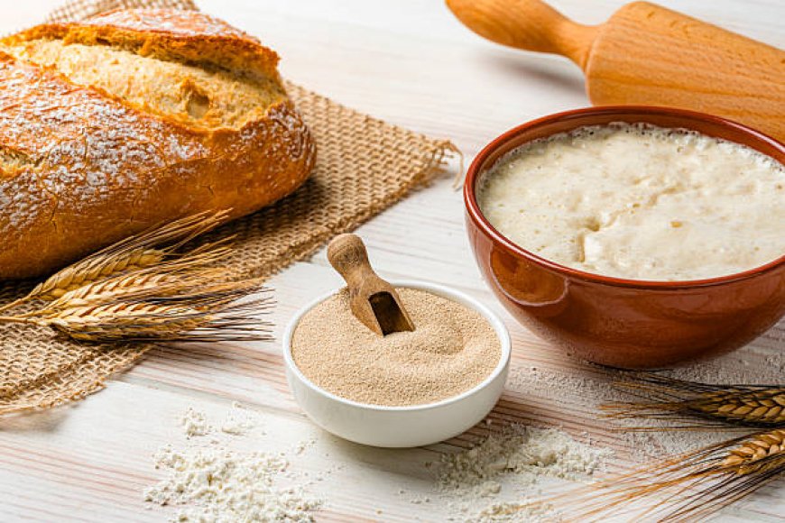Bread Proofer & Bread Making Kit for Home Bakers