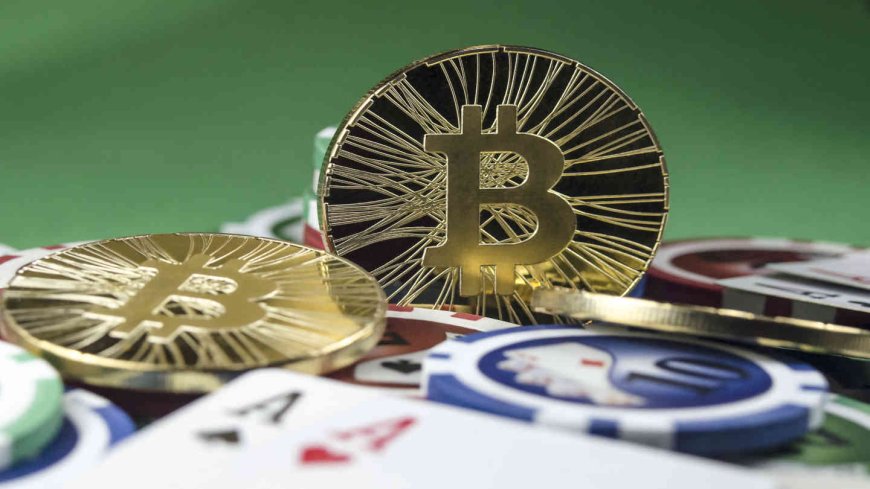Confronta I Migliori Bitcoin Casino Con Bonus Sicuri Nel 2026