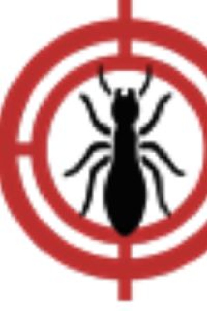 Pest Control for Snakes Near Me: Safe Effective Solutions for Your Property