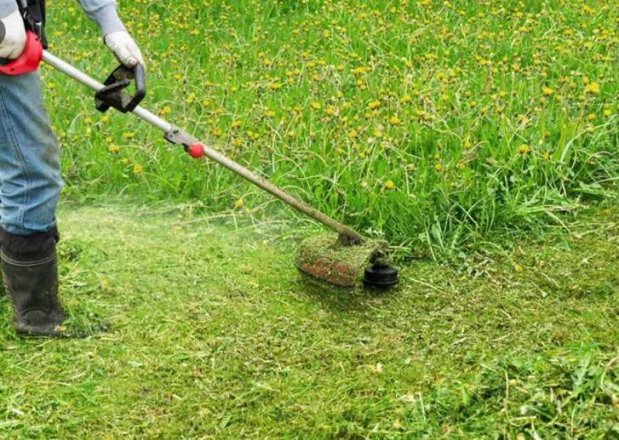Why Lethbridge Homeowners Are Booking Lawn Care Before Small Problems Become Big Ones