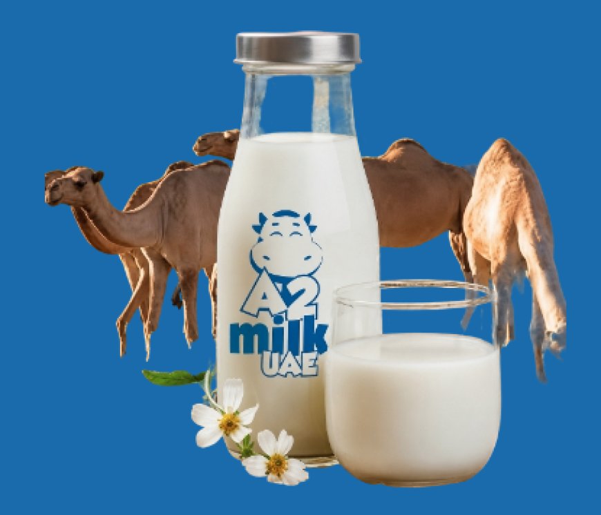 Fresh A2 Milk Dubai | Farm Fresh A2 Cow Milk Delivery | A2 Milk UAE