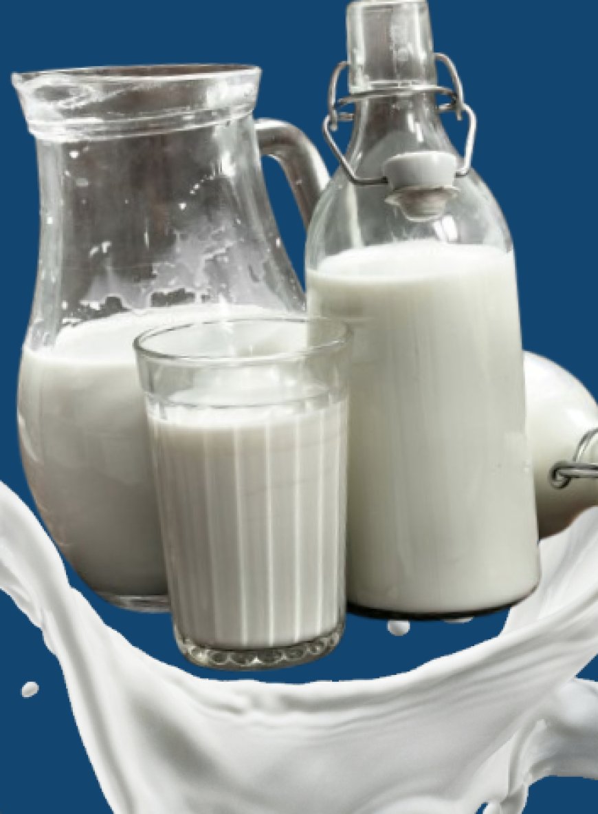 Fresh A2 Milk Dubai | Farm Fresh A2 Cow Milk Delivery | A2 Milk UAE