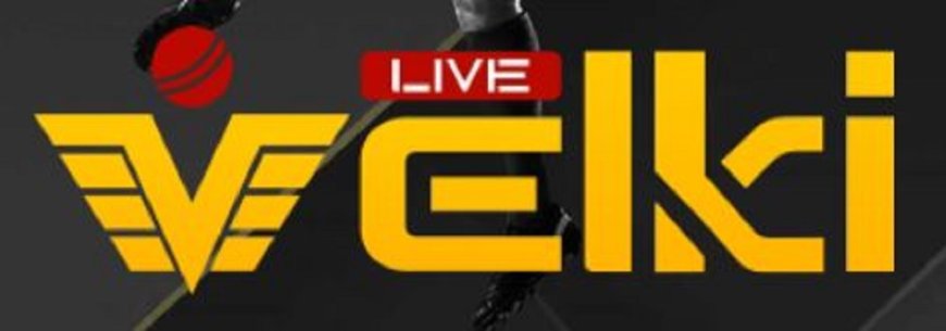 Top Best Choice for Discerning Casino Players VELLKI in Bangladesh