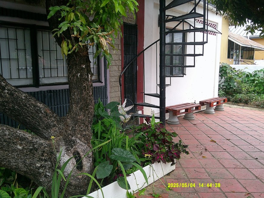 Places to Stay in Port of Spain: Find the Right Accommodation for Your Trip