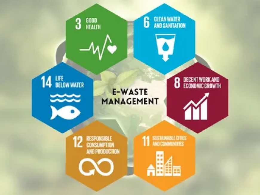 Sustainable Rubbish Removal: Where Your Waste Goes and Why It Matters