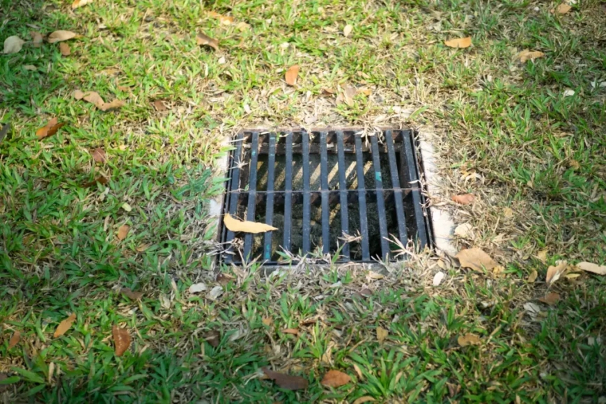 Why Is Yard Drainage in Sugar Land Essential for Lawn Care, Irrigation, Lighting, and Tree Health?
