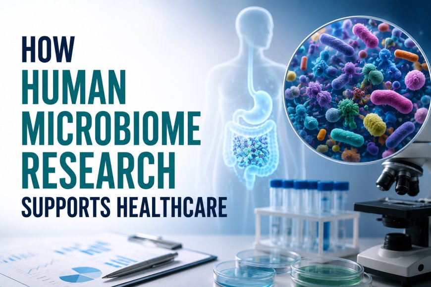 How Human Microbiome Research Supports Healthcare