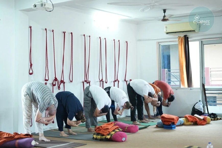 Yoga Retreat Guide India: Everything You Need to Know Before Planning Your Wellness Journey
