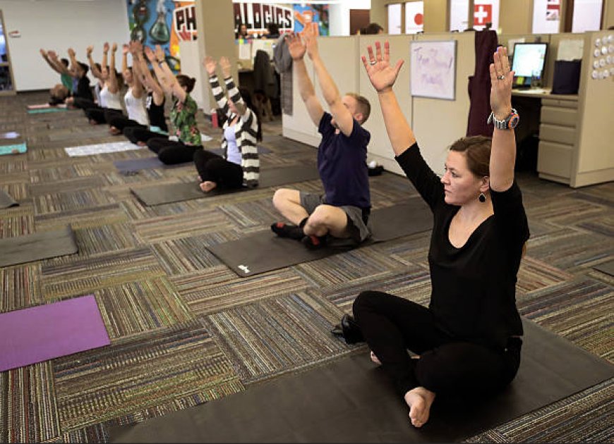 What HR Teams Measure When Corporate Wellness Moves Beyond Participation Rates