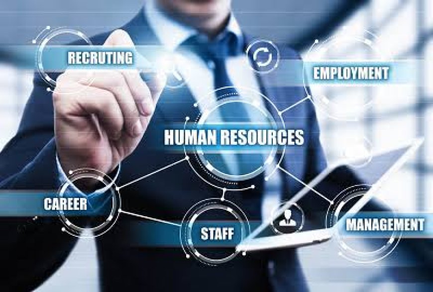 Beginner’s Guide to HR Consultancy, Placement Agencies, and Recruitment Agencies in Guwahati