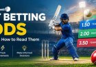 Advantages of Cricket Betting Exchange for Long-Term IDs