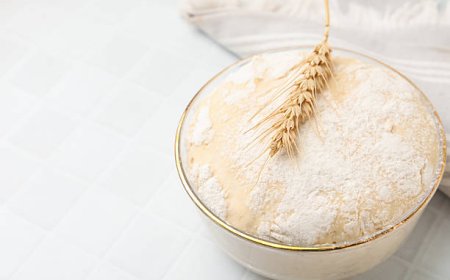 What Is A Proofing Bowl And Do You Actually Need One?