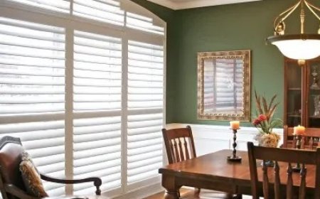 Roller Shades In Georgetown: Transform Your Windows With Milton Blinds