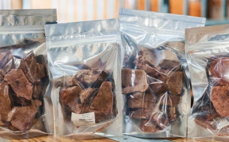 Compressed Dog Bones: Natural Chew Options for Dogs