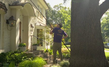 Why Professional Commercial Window Cleaning Matters for Fort Worth Businesses