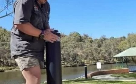 Trusted Solar Installers Serving Pingelly, Wandering and Boddington