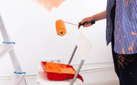 Best Paint Contractor Panchkula for Professional Home & Commercial Painting