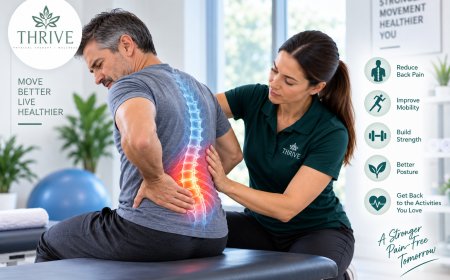 Back Pain Therapy: A Complete Guide to Pain Relief, Better Mobility, and Long-Term Recovery