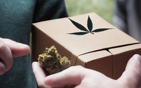 BC Weed Delivery: What Sets It Apart From the Rest of Canada?