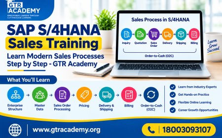 SAP S/4HANA Sales Training: Learn Modern Sales Processes Step by Step - GTR Academy