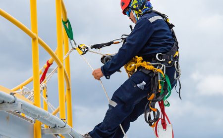 Fall Arrest System for Ladders: Ensuring Workplace Safety with Indianinovatix