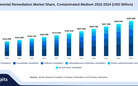 Environmental Remediation Market Projected to Reach USD 199.73 Billion by 2031