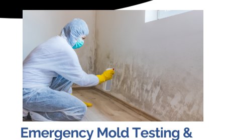 Airborne Mold Test Sherman Oaks CA: A Practical Guide to Mold and Indoor Air Concerns