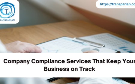 Company Compliance Services That Keep Your Business on Track