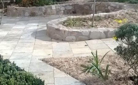 Sandstone Walls in Canberra: A Timeless Choice for Beautiful Outdoor Spaces