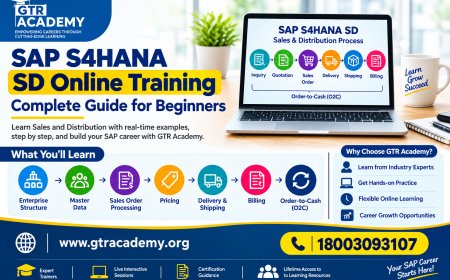 SAP S4HANA SD Online Training: Complete Guide for Beginners - GTR Academy