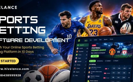 In-House vs. Outsourced Sports Betting Software Development: Which Actually Wins?