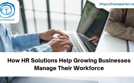 How HR Solutions Help Growing Businesses Manage Their Workforce